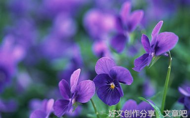 十二优美的句子