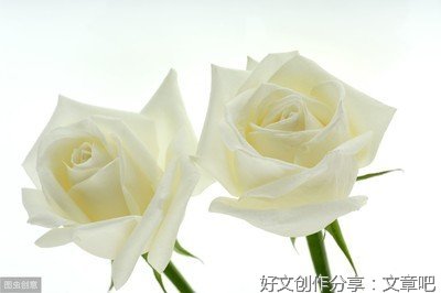 《坚持+成长+毅力》的句子