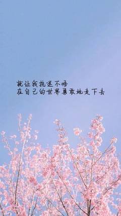 有关七堇年的句子