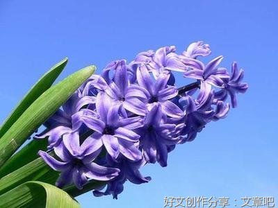 治愈优美的句子