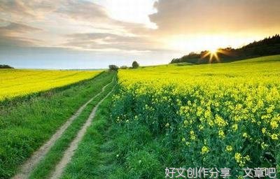 你是天上的星星的优美句子