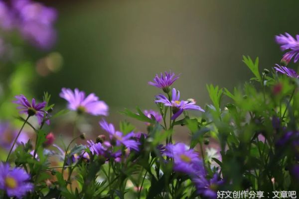 二月，让我们与所有美好相遇