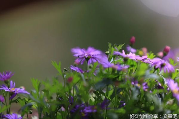二月，让我们与所有美好相遇