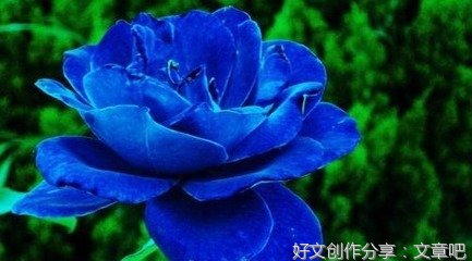 01生活态度经典的句子