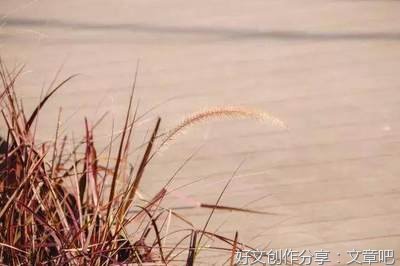 《我的喜欢》的句子