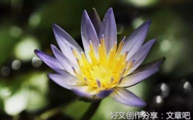 生活哲理经典名句