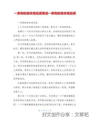 《IT狗》观后感100字
