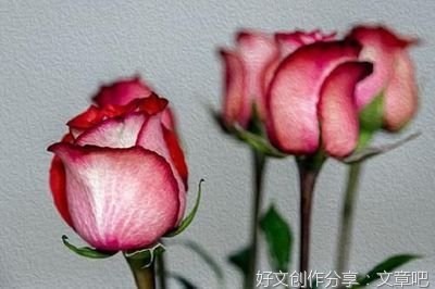 有关人生的智慧拾遗的句子