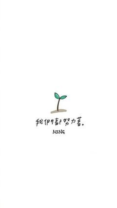 关于收藏（1）的句子