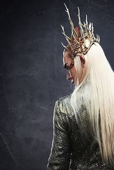 关于魔戒，霍比特的优美句子