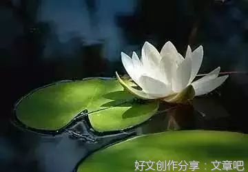 佛告诉你，情人是什么？