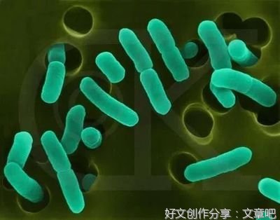 《枪炮、病菌与钢铁》读后感摘抄