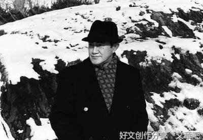《木心遗稿》读后感1000字
