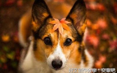 生命深处一片绿洲。句子