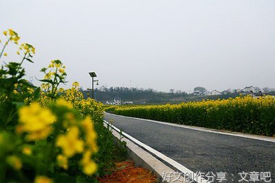 生肖奇谭读后感100字