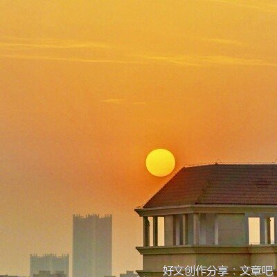 关于new的优美句子
