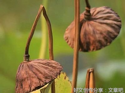 情感物语