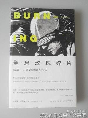 《全息玫瑰碎片》读后感摘抄