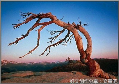 感情优美的句子