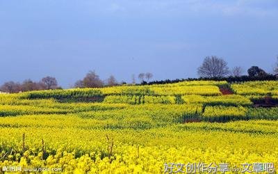 时节的优美句子