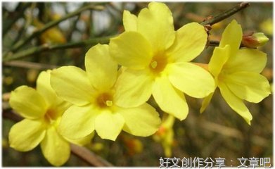 FAVORTE的优美句子