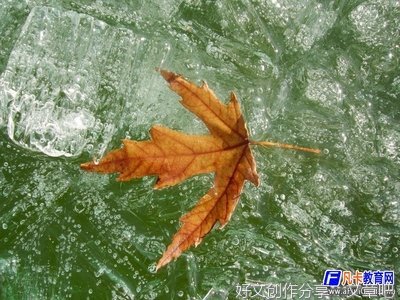 关于歪理的优美句子