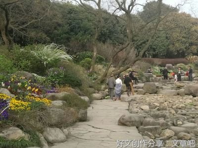 牧羊人奇幻之旅好词好句