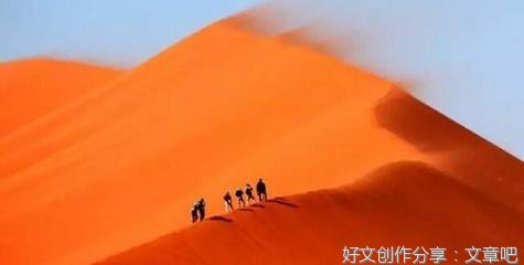 荣耀之路读后感1000字