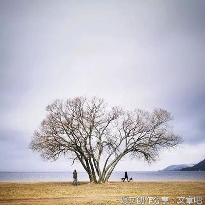 理性经典的句子