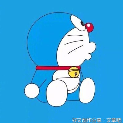 《好像一条狗》经典观后感有感