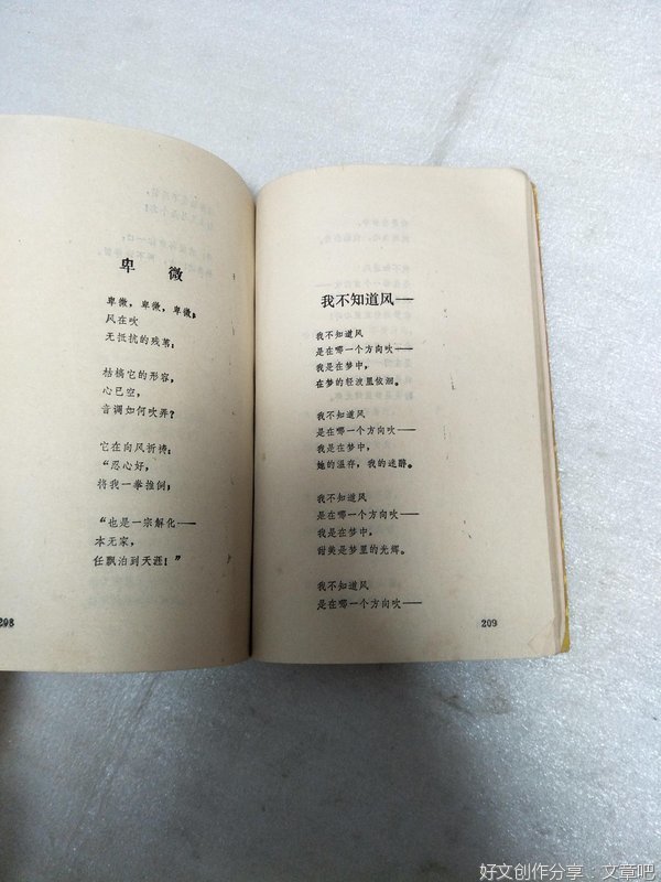 徐志摩句子