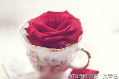 关于爱情的句子