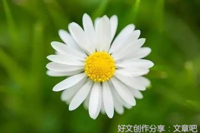 关于困惑的句子
