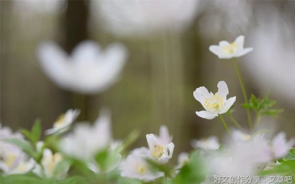 人生看似漫长，其实只有5天！
