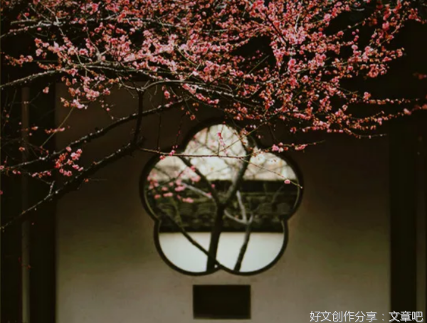 人生看似漫长，其实只有5天！