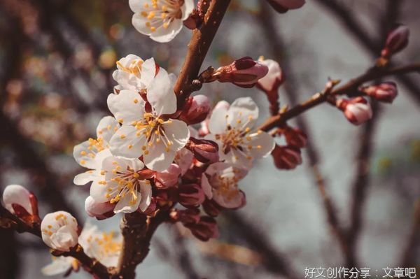 人生看似漫长，其实只有5天！