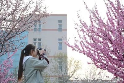 与君初相识，犹似故人归的优美句子