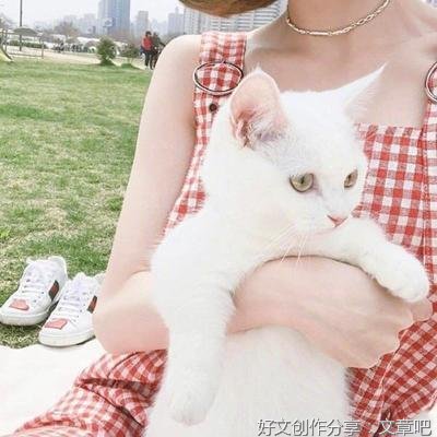 关于年少与终老。的句子
