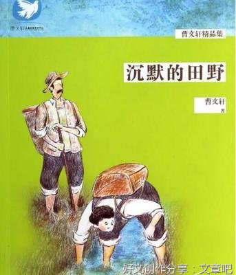少年与沉默之海的读后感大全