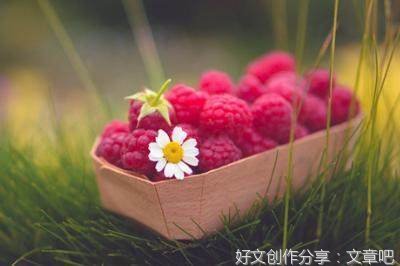 《古风摘抄》的句子