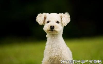 关于思念成河知多少的句子