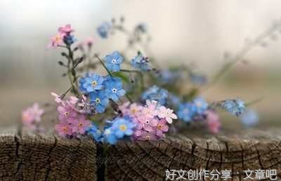 关于夏天句集的优美句子