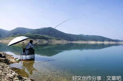 《飞钓股市》读后感100字