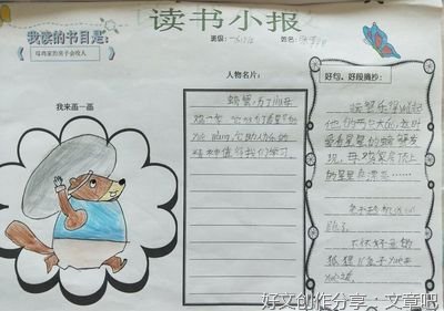 《最美的星星》读后感100字