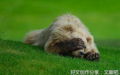 叶的句子