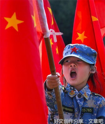 《战地厨子和半个小兵》读后感锦集