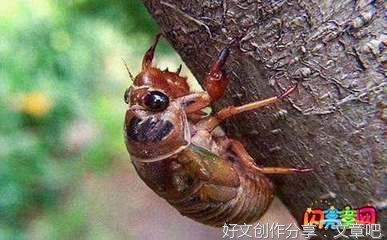 作文素材的句子