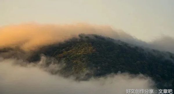 2022年最佳微小说，看完久久不能平静！