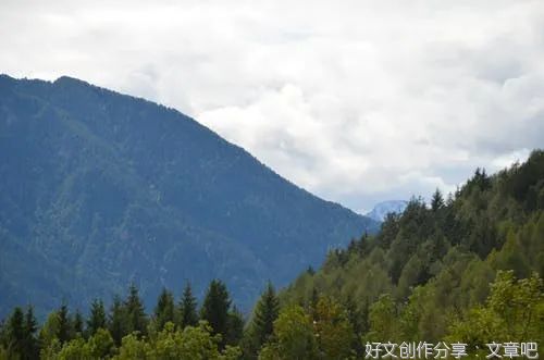 2022年最佳微小说，看完久久不能平静！