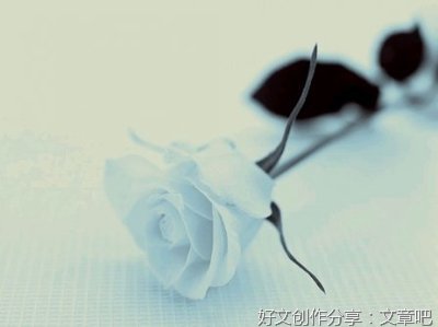 关于沉默的句子